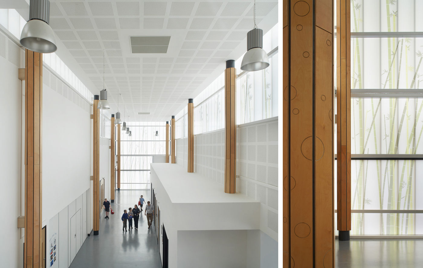 3 1400 Columbus School + College -®Hufton+Crow jungle space